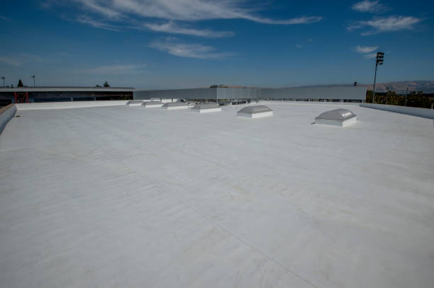 Steel Roofing in Morrison, IL