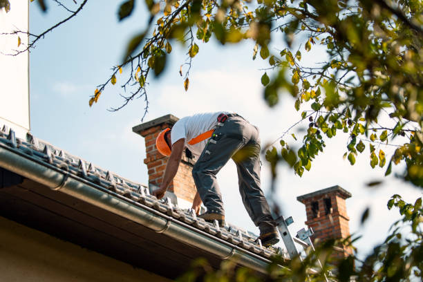 Best Roof Insulation Installation  in Morrison, IL
