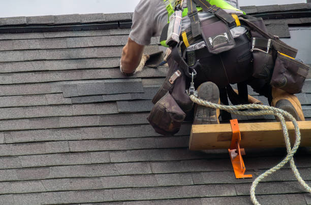 Best Flat Roofing  in Morrison, IL