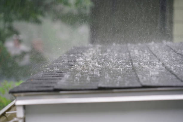 Roof Insulation in Morrison, IL