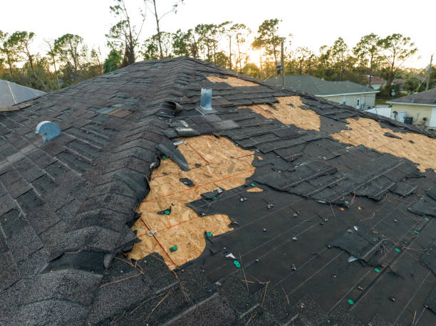 Best Steel Roofing  in Morrison, IL
