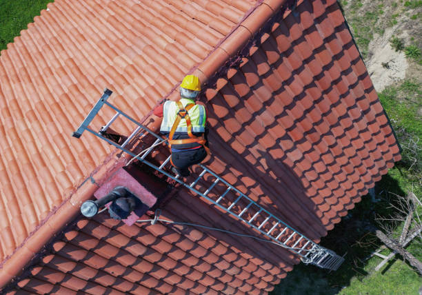 Best Commercial Roofing Services  in Morrison, IL