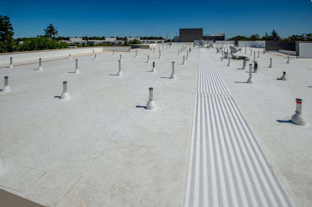 Best Solar Panel Roofing Installation  in Morrison, IL